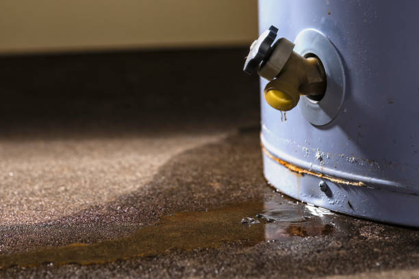 Edgewood, WA Water damage restoration Company