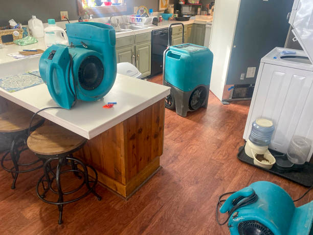 Best Carpet water damage restoration  in Edgewood, WA