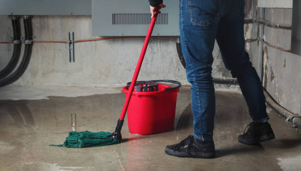 Best Water damage restoration near me  in Edgewood, WA
